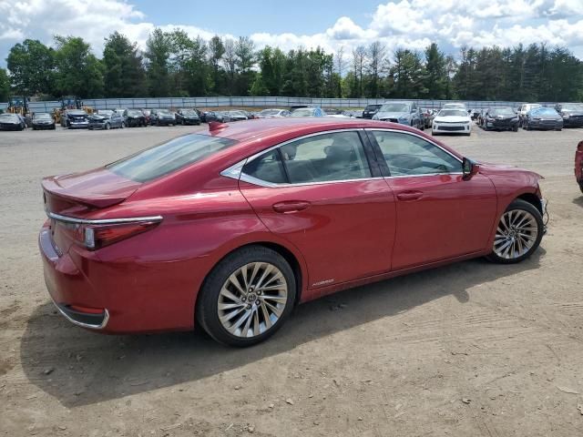 2019 Lexus ES 300H