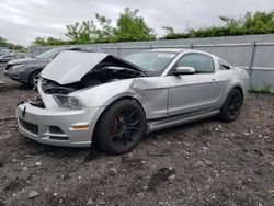 Salvage cars for sale at Marlboro, NY auction: 2013 Ford Mustang