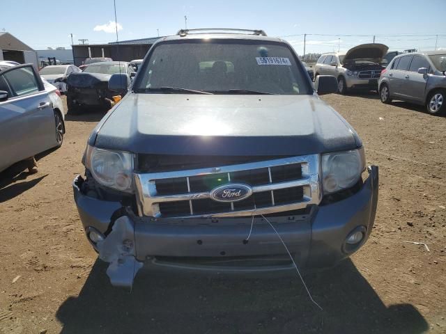 2011 Ford Escape Limited