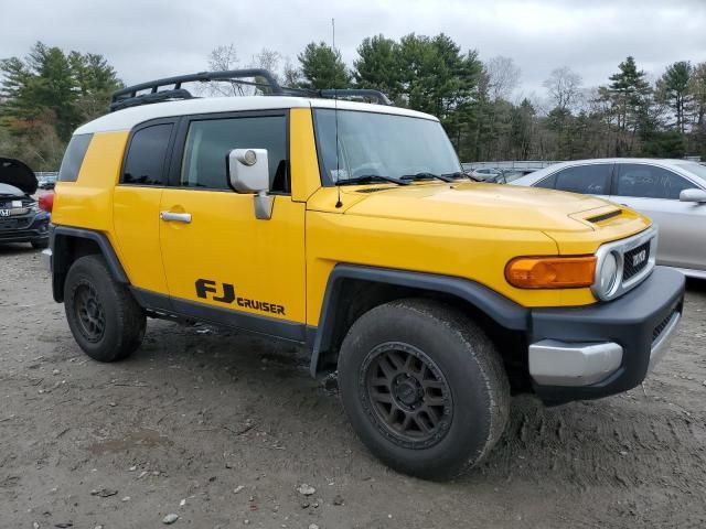 2007 Toyota FJ Cruiser