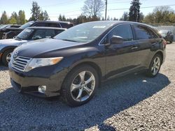 Salvage cars for sale at Graham, WA auction: 2009 Toyota Venza