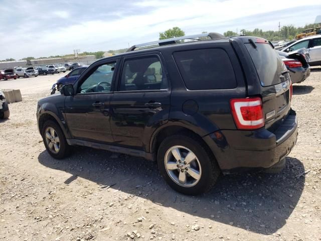 2011 Ford Escape Limited