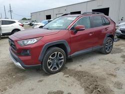 Salvage cars for sale at Jacksonville, FL auction: 2019 Toyota Rav4 Adventure
