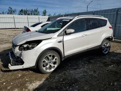 Salvage cars for sale at Nisku, AB auction: 2015 Ford Escape Titanium