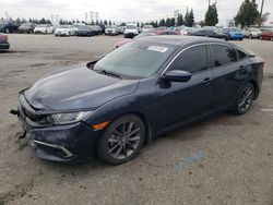 Salvage cars for sale at Rancho Cucamonga, CA auction: 2019 Honda Civic EX