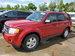Salvage cars for sale at auction: 2011 Ford Escape XLT