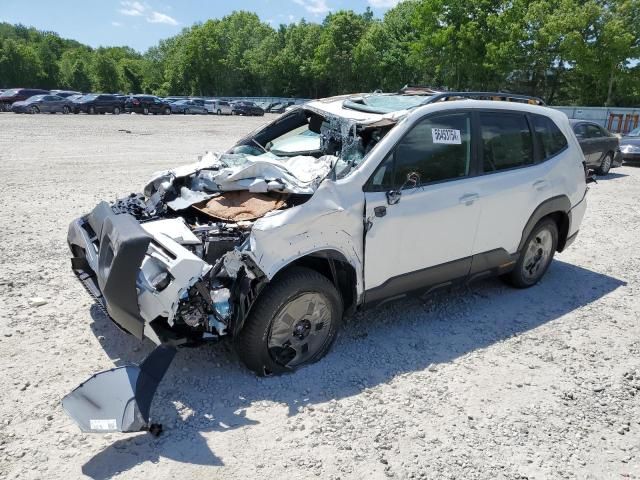 2024 Subaru Forester Wilderness