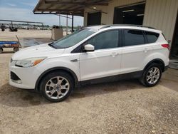 Vehiculos salvage en venta de Copart Temple, TX: 2014 Ford Escape SE