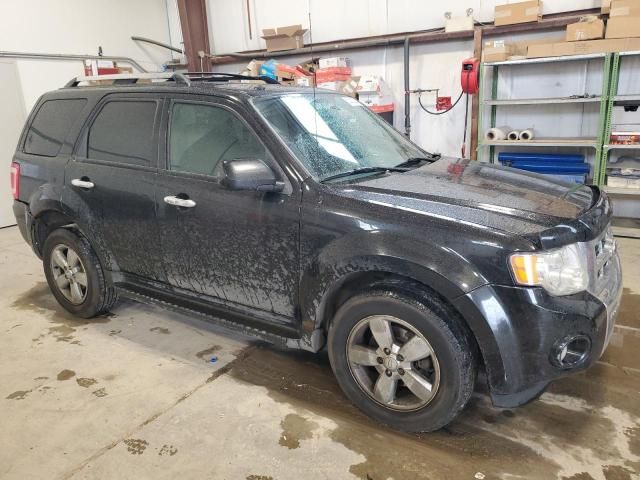 2011 Ford Escape Limited