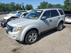 Salvage cars for sale at Baltimore, MD auction: 2009 Ford Escape XLT