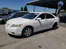 Salvage cars for sale from Copart Hayward, CA: 2008 Toyota Camry CE