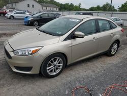Salvage cars for sale at York Haven, PA auction: 2017 Ford Focus SE