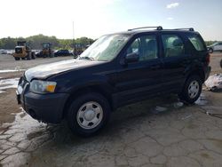 Ford Escape xls Vehiculos salvage en venta: 2006 Ford Escape XLS