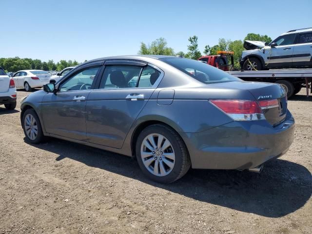 2011 Honda Accord EXL