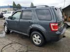 2009 Ford Escape XLT