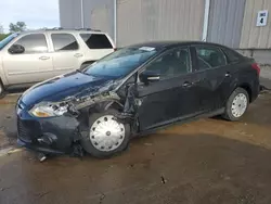 Salvage cars for sale from Copart Lawrenceburg, KY: 2013 Ford Focus SE