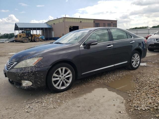 2010 Lexus ES 350