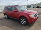 2009 Ford Escape Limited