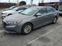 Salvage cars for sale from Copart Wilmington, CA: 2017 Hyundai Sonata Hybrid