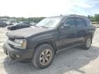 2007 Chevrolet Trailblazer LS