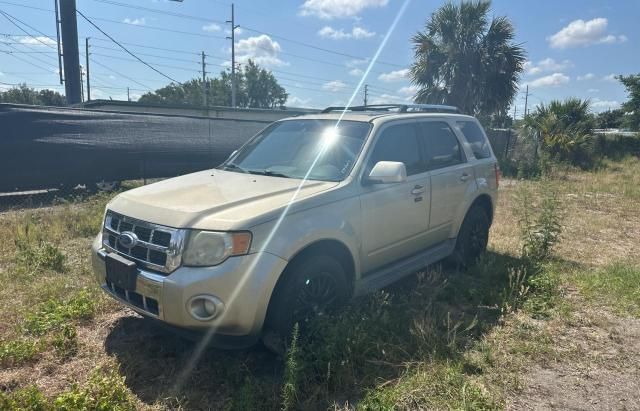 2011 Ford Escape Limited