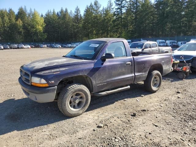 1999 Dodge Dakota