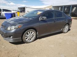Salvage cars for sale at Brighton, CO auction: 2010 Toyota Corolla Base