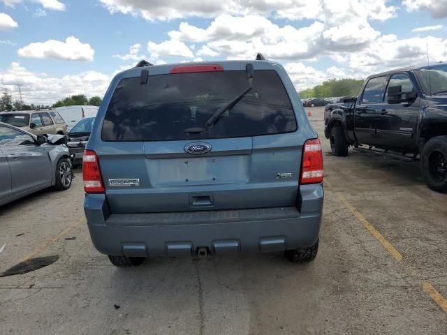 2011 Ford Escape XLT