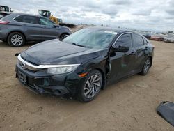 Salvage cars for sale from Copart Brighton, CO: 2016 Honda Civic EX