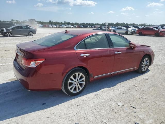 2010 Lexus ES 350