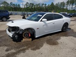 Dodge Charger salvage cars for sale: 2016 Dodge Charger R/T Scat Pack