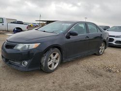 Salvage cars for sale at Temple, TX auction: 2012 Toyota Camry Base