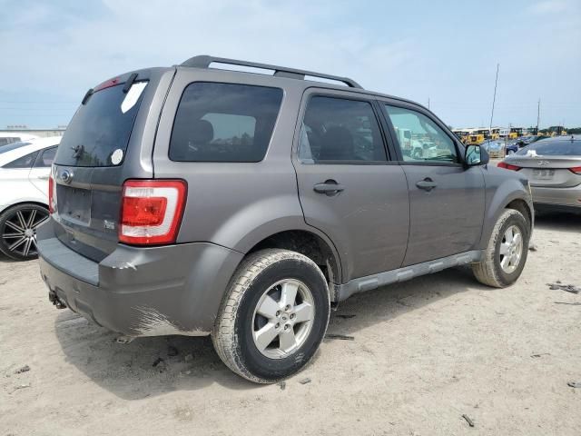 2010 Ford Escape XLT