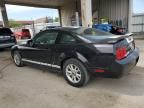 2006 Ford Mustang