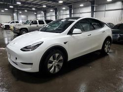 Salvage cars for sale at Ham Lake, MN auction: 2023 Tesla Model Y