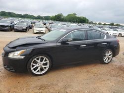 Salvage cars for sale at Tanner, AL auction: 2009 Nissan Maxima S