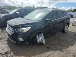 Salvage cars for sale at Louisville, KY auction: 2019 Ford Escape Titanium