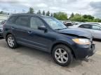 2008 Hyundai Santa FE SE