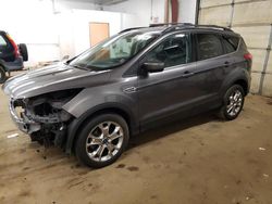 Salvage cars for sale at Ham Lake, MN auction: 2014 Ford Escape SE