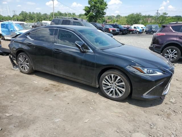 2019 Lexus ES 350