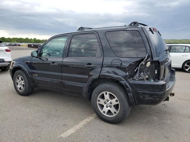 2002 Ford Escape XLT