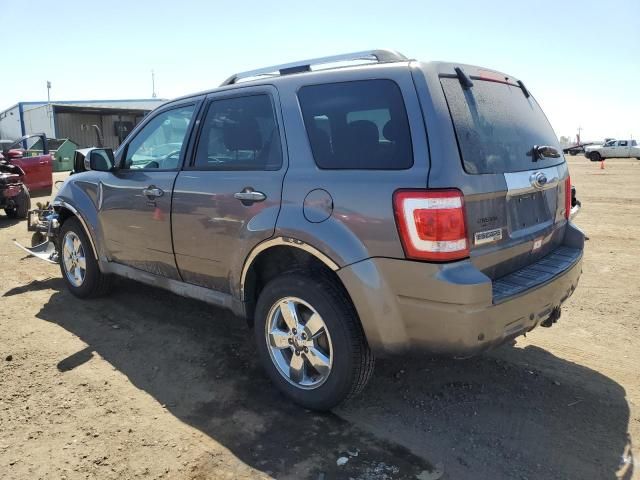 2009 Ford Escape Limited