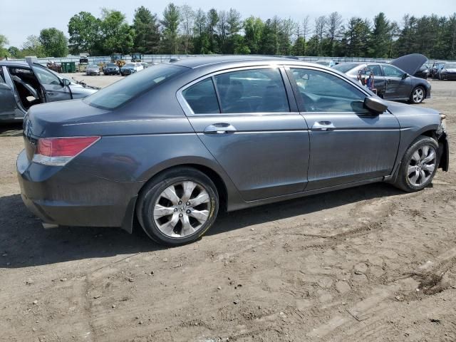 2010 Honda Accord EXL