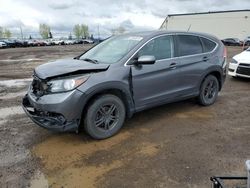 Salvage cars for sale at Rocky View County, AB auction: 2014 Honda CR-V EX