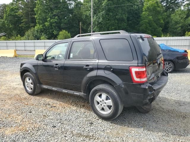 2010 Ford Escape XLT