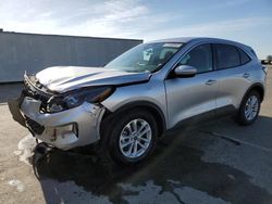 Salvage cars for sale at Fresno, CA auction: 2020 Ford Escape SE