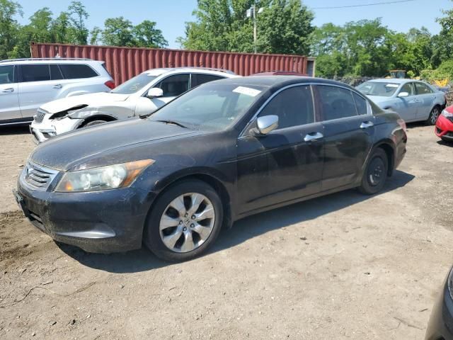 2008 Honda Accord EXL