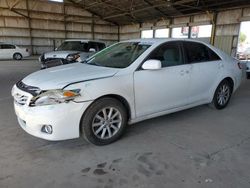 Salvage cars for sale at Phoenix, AZ auction: 2010 Toyota Camry Base