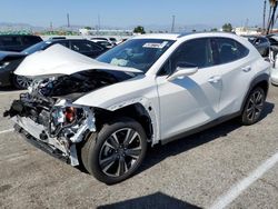 Salvage cars for sale from Copart Van Nuys, CA: 2024 Lexus UX 250H Base