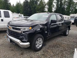 Salvage cars for sale at Arlington, WA auction: 2023 Chevrolet Silverado K1500 LT